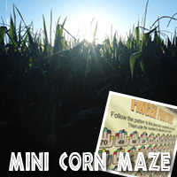 Image of Jaemor Farms mini corn maze