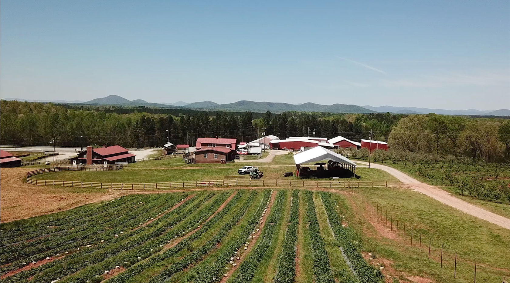 Fresh Produce Farm In Georgia Jaemor Farms