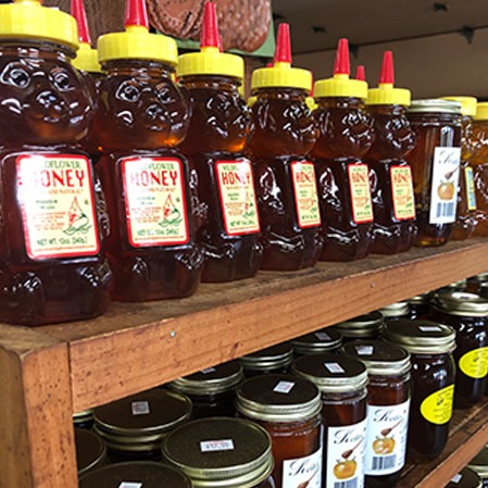 Bottles of honey