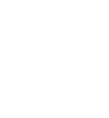 White icon of a cantaloupe