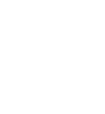 White icon of a pumpkin