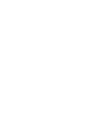 White icon of a squash