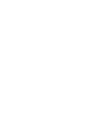 White icon of strawberries