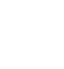 White icon of a watermelon