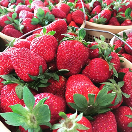 Jaemor Farms photo 21
