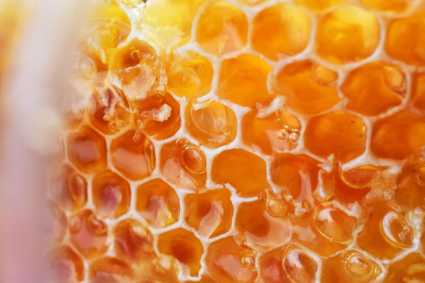 Honey from Jaemor Farms
