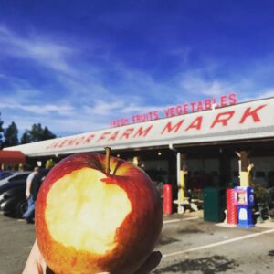 Apple with bite taken out of it in front of Jaemor Farm Market in Alto