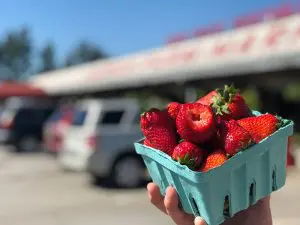 Small bunch of strawberries in front of the Alto Jaemor Farm Market