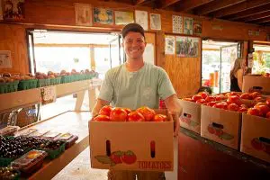 Man holding a large box full of tomatoes