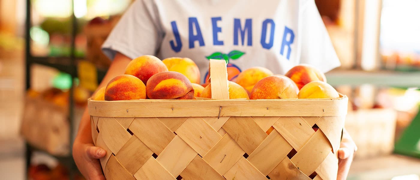 basket of peaches from the market at Jaemor Farms