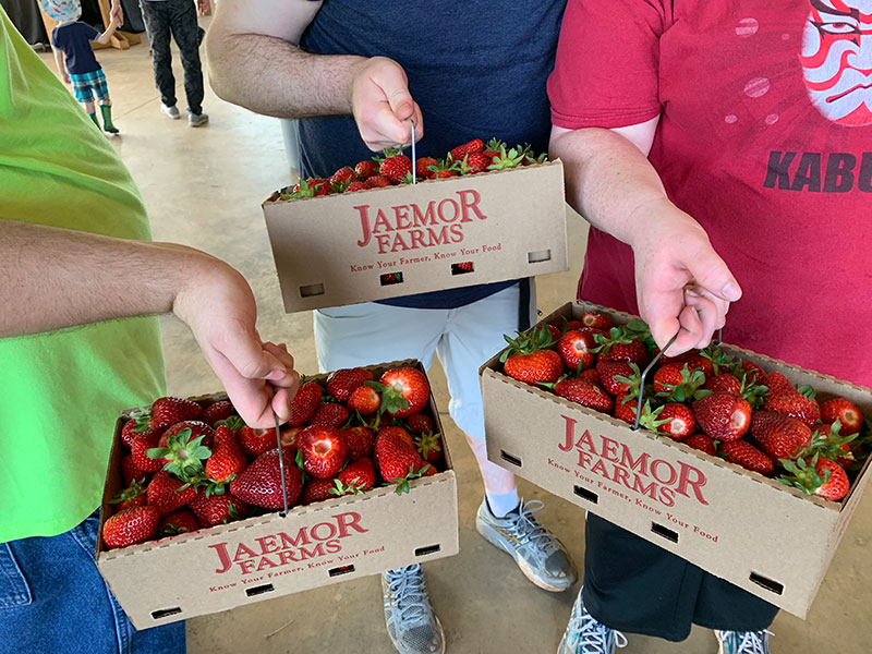 People holding baskets of strawberries at Jaemor Farms