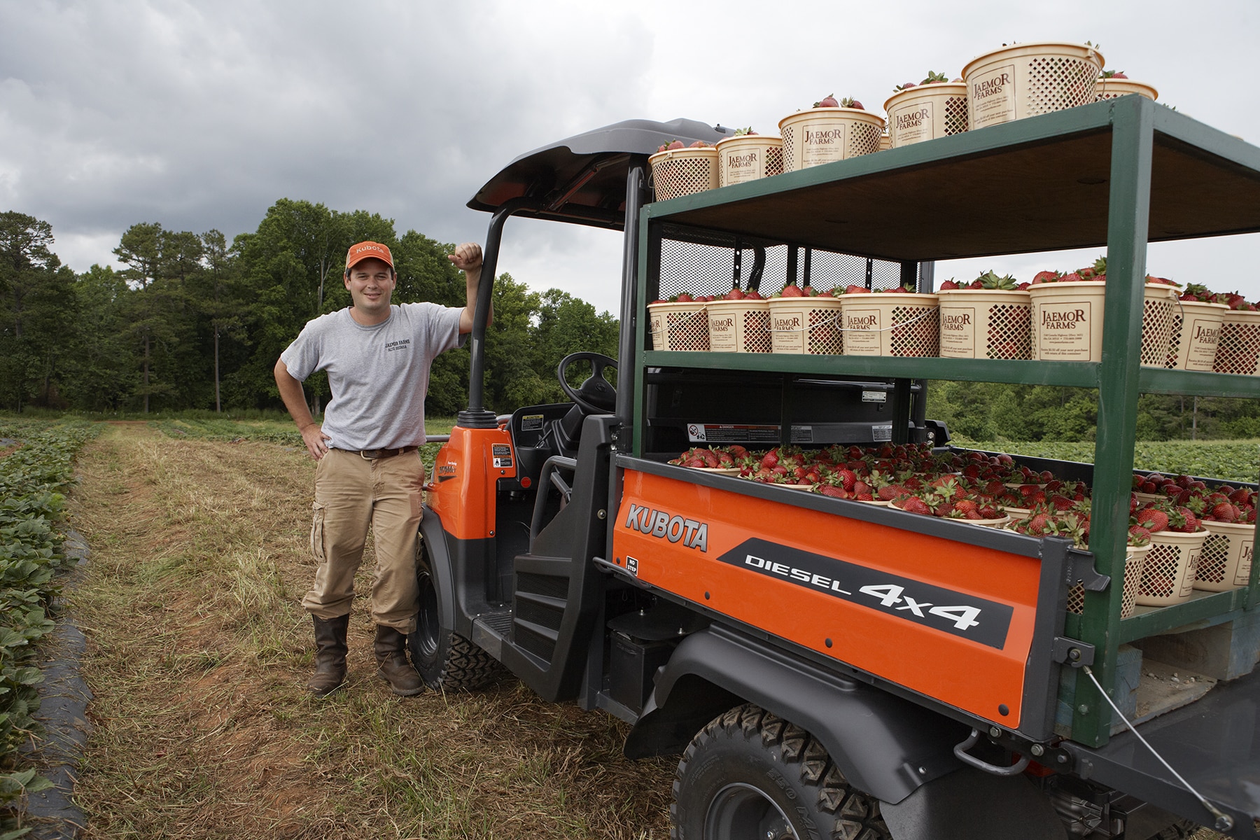 Drew Echols with the strawberry harvest at the fields at Jaemor Farms