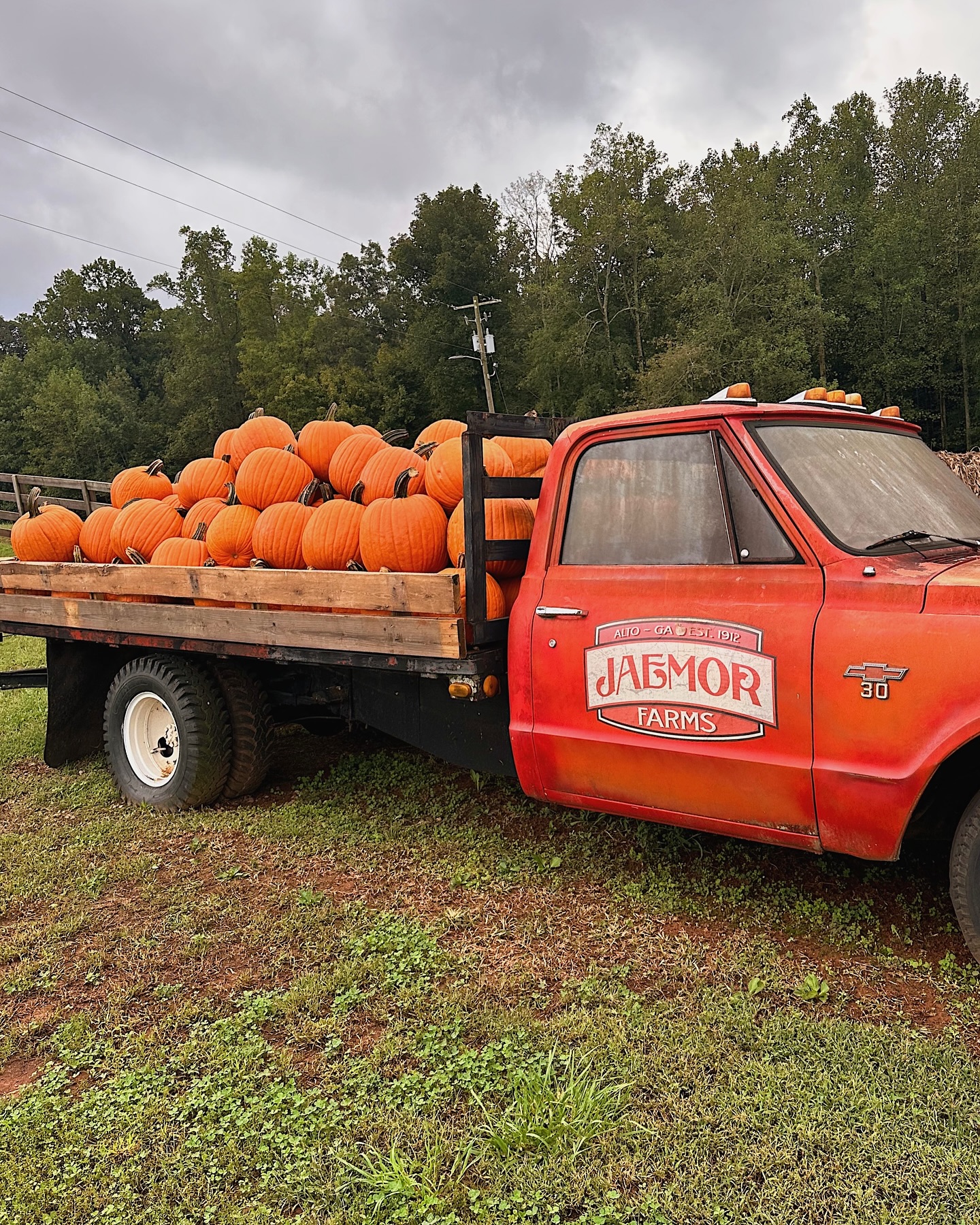 Jaemor Farms flatbed truck with pumpkins for sale at the Harvest Celebration at Jaemor Farms