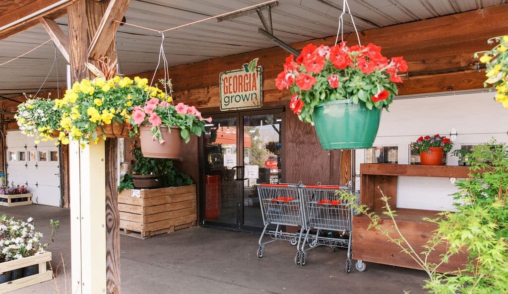 flowers for sale at Jaemor Farms