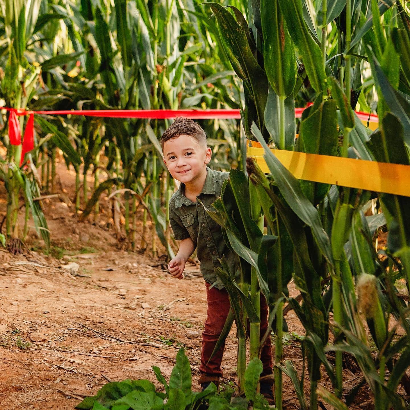 kid in the cornmaze at Jaemor Farms
