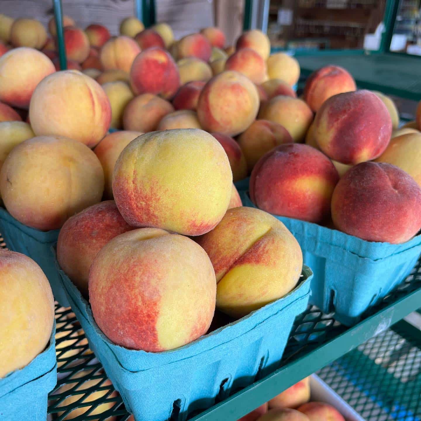 Jaemor Farms photo 25