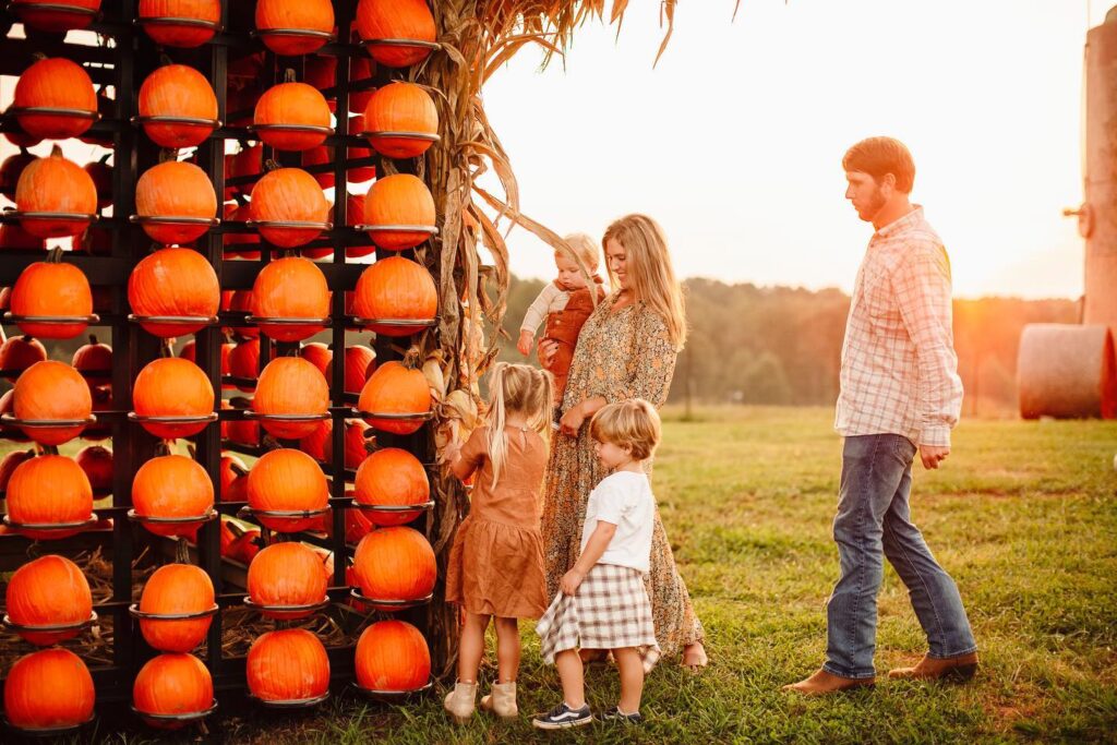 pumpkin patch