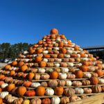 Placeholder: Pumpkin Patch Test