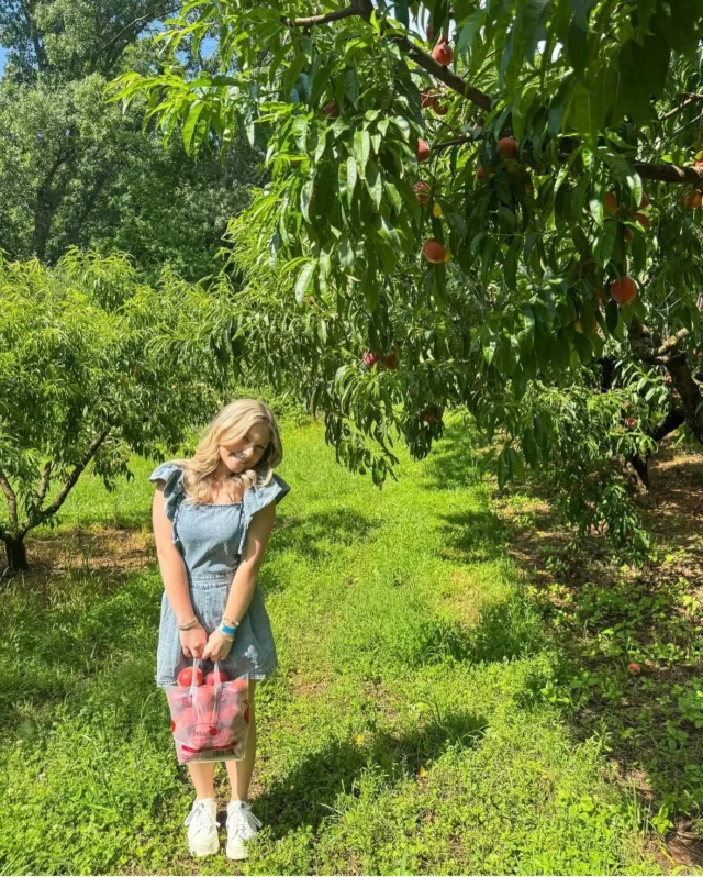 Sweet summer days in the peach orchard 🤍🍑 Another weekend of on-farm experiences is here! Check out the details on our previous posts or visit our website to learn more and plan your visit! 

📸: @mcclairin_g