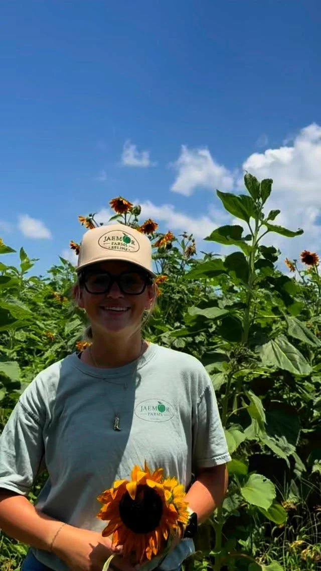 Looking to add a little sunshine to your home this weekend? This is the LAST  opportunity (before Fall) for you to pick these gorgeous sunflowers 🌻 As you plan your visit, check out some important information below. We can't wait to see y'all soon!

📆 Dates and Times
Friday, June 27: 10a-4p
Sat. 6/28 and Sun 6/29: 10am-5pm
*Last admission sold one hour before close.

🎟️ Admission: $6/person + tax ages 3+. Includes access to ALL u-pick fields, farm games and a wagon ride to the orchard!
•••
⭐️ U-Pick Offerings ⭐️ 
🍑 Peaches: $25 peck bag or 2 for $40
🌸 Farm Flowers: $8 small cup or $20 large bucket
🥒 Garden Veg Mix (squash, zucchini, green beans): $9 small bag (~3 lbs) or $20 large bag (~8 lbs.)

*Containers from home and pets are NOT permitted.