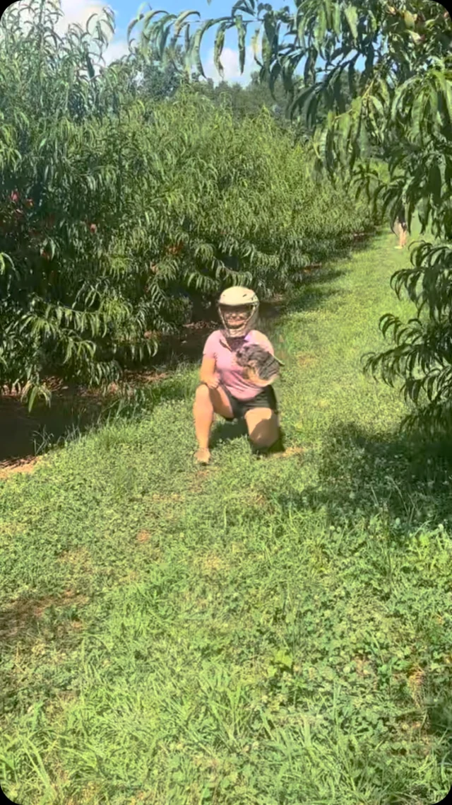 It’s All-Star Week in Atlanta ⚾️ While you’re in the area celebrating the baseball festivities, take a short drive up to the farm to try out the best peaches, homegrown produce and homemade treats in the state 🍑😉 We can’t wait to see y’all soon!

📍5340 Cornelia Hwy. Alto, GA 30510 

#jaemorfarms #familyfarm #georgiapeaches #mlb #mlballstargame #mlballstars2025