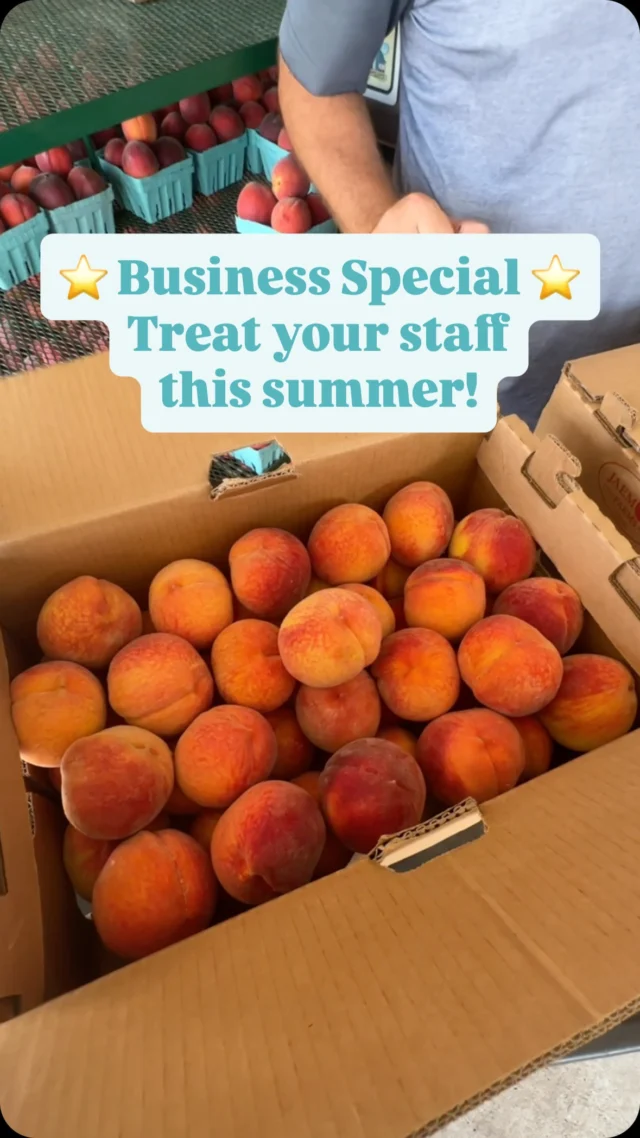 LOCAL BUSINESS ALERT ‼️ Calling all business owners, CEOs and company leaders… Your staff has been working hard this summer! Say thank you with a real treat. There’s nothing sweeter than Jaemor peaches 🍑🎉 

⭐️ We’re offering special pricing for businesses who purchase 10+ boxes of homegrown peaches. For pricing and information, contact us today ⬇️ 

📞: 770-869-3999 ext. 9
📧: ian@jaemorfarms.com

Help us honor your team well this summer 🍑